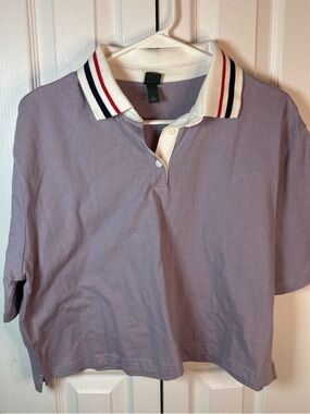 wild fable Lavender Cropped Polo with Striped Contrast Collar